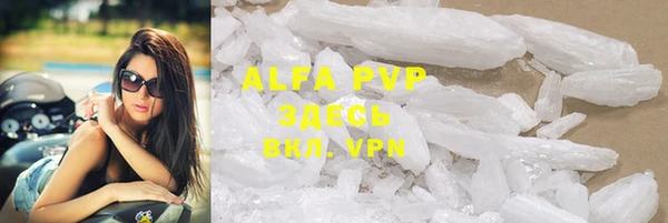 PSILOCYBIN Приозерск