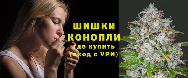 ПСИЛОЦИБИНОВЫЕ ГРИБЫ Протвино