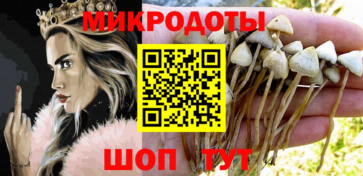 Псилоцибиновые грибы ЛСД  Вход с VPN  Слободской  Псилоцибиновые грибы Cubensis 